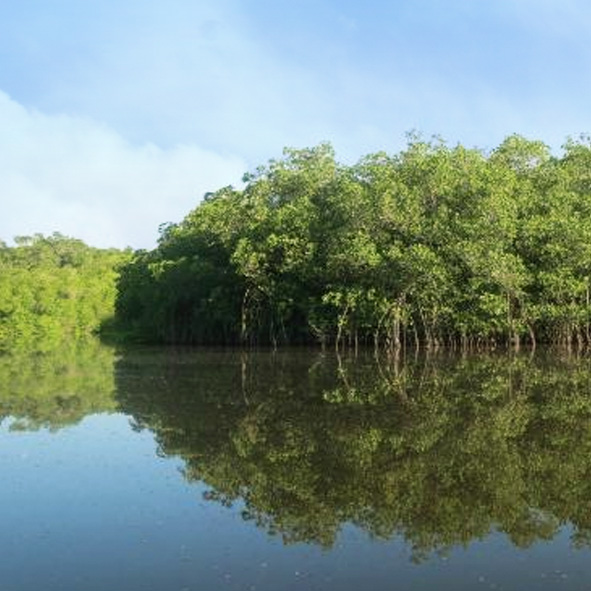 Laguna de Manialtepec